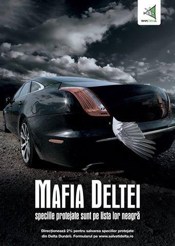 Semnale - 48670810151601853804184379838572n.jpg